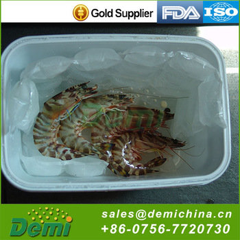 High Quality FDA,ISO9001,SGS Certification Custom Reusable Dry Ice Cooler Gel Dry Ice Cooler