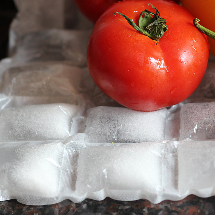 China Manufacture Custom Eco-Friendly Take-Away Bag Gel Ice Pack