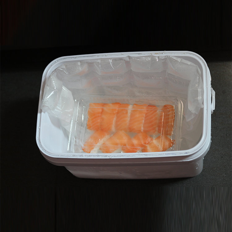 Food Use SAP Material Mini Food Freeze Dry Ice Pack