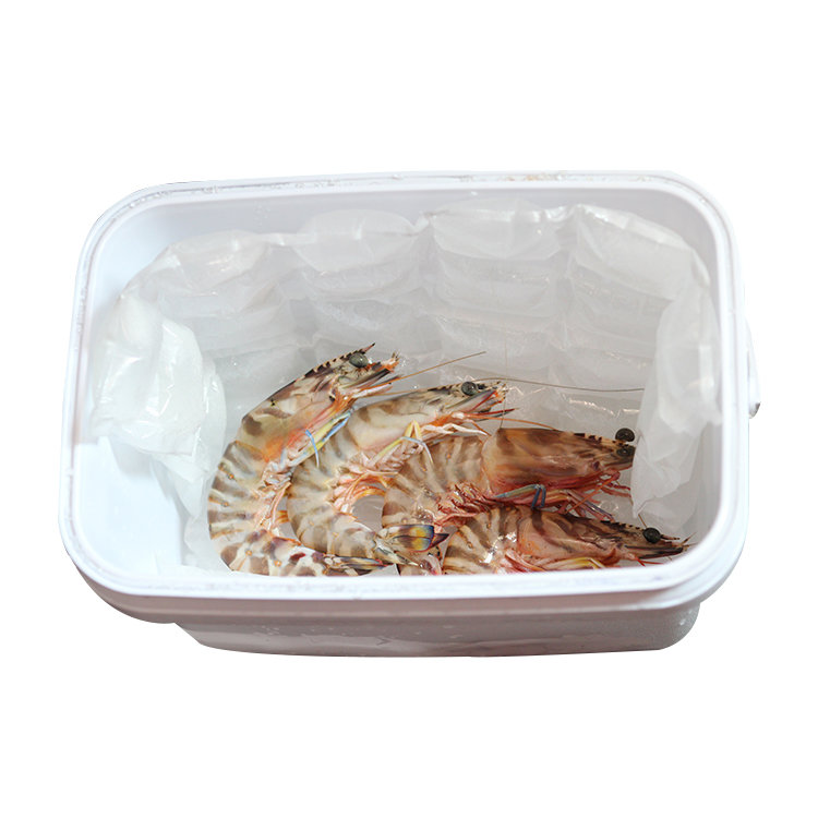 Super Ice Pack For Food Transportation , Cold Preserving Cooler Bag Ice Gel Pack