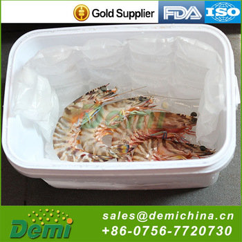 High Quality FDA,ISO9001,SGS Certification Custom Reusable Dry Ice Cooler Gel Dry Ice Cooler