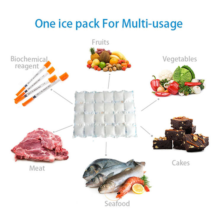 China Manufacturers Food Grade Custom Transparent Refillable Ice Pack