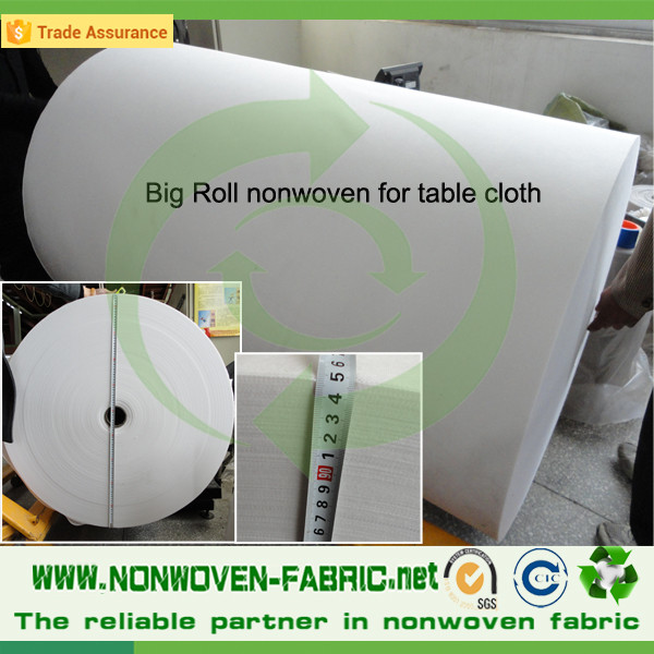 NWPP fabric for nonwoven underwear _SPP material