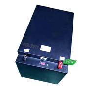 Li Ion Lithium-batterie 100ah Liontron China Manufacture Sealed Lifepo4 12v 200ah Akku For Limo