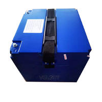 High discharge rate rc 12v 100ah lithium ion iron phosphate battery pack