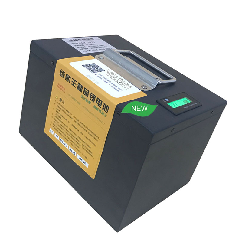 Full BMS protection 12v 100 ah 1000ah rechargeable lithium ion battery