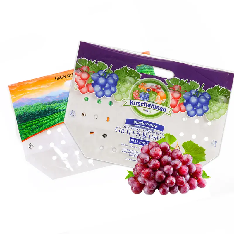 High Quality Custom Perforated Standup Bags for Fresh Fruit with Cheap Price