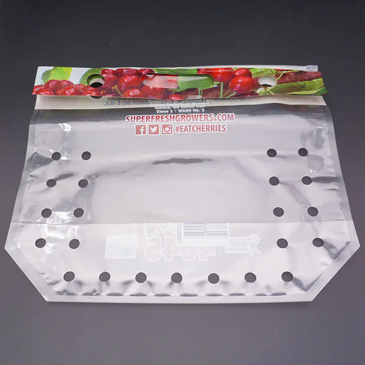 High Quality Custom Perforated Standup Bags for Fresh Fruit with Cheap Price