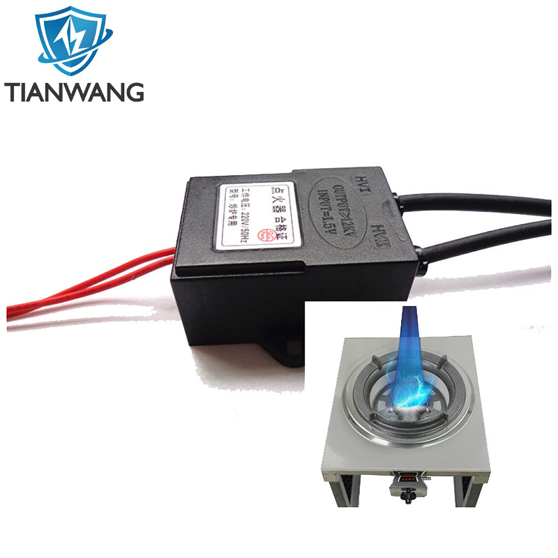 50~60Hz Frequency and 110VAC, 220VAC Voltage Electric Pulse Igniter