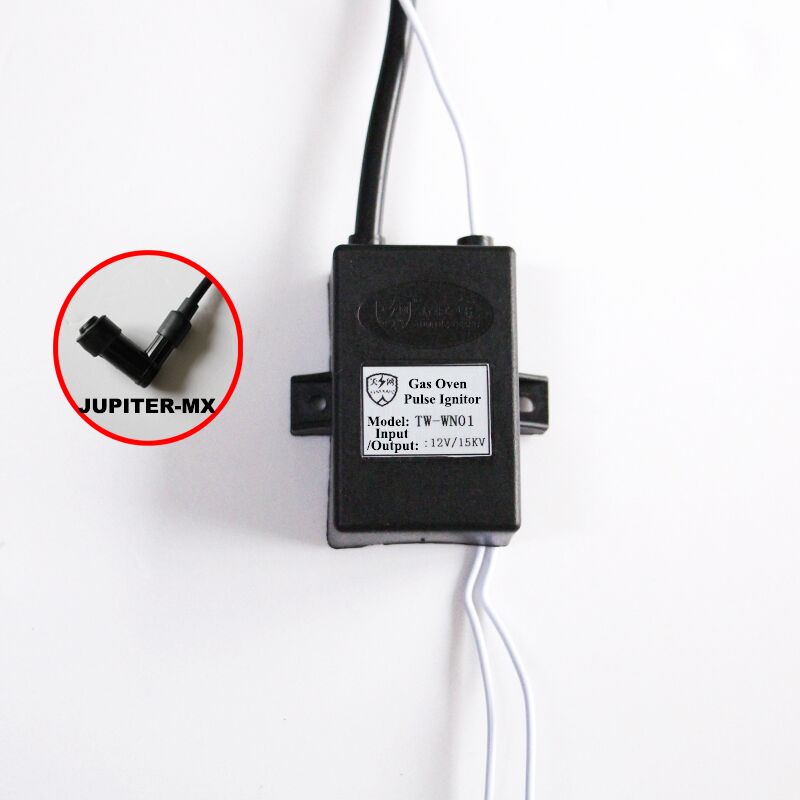 Electronic ignition module igniter of gas heater pulse generator