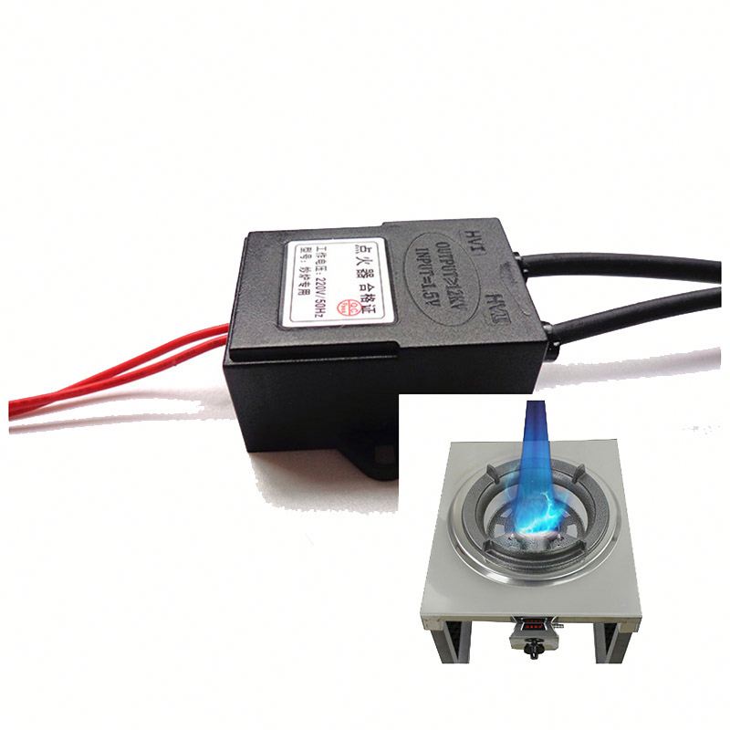 High Quality Factory Black Module 220VAC Gas Electric Pulse Igniter With Burnout Protect