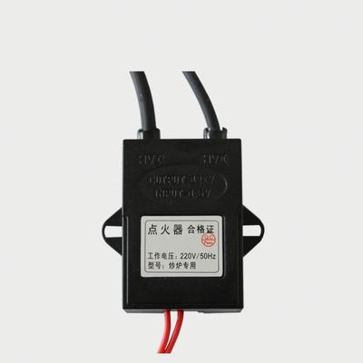 Electronic Pulse Igniter Electric Ignition Controller