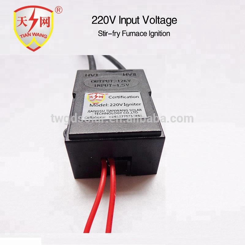 220V Input Ignition Coil Electronic Spark Igniter