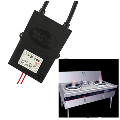 220v high voltage transformer Electric Gas Grill Ignitor pulse igniter