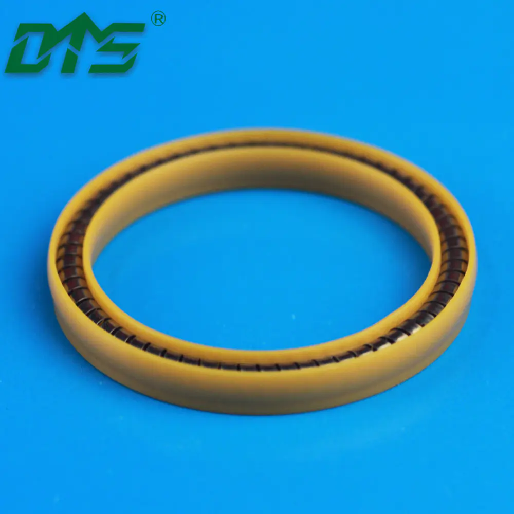 UPE and PCTFE Low Temperature Resistant LNG System JointsSpring Seals and Back Up Rings