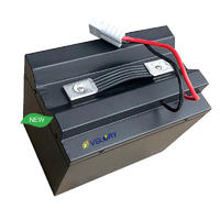 Highly efficient charge ebike battery 48v 20ah 1000w 25ah