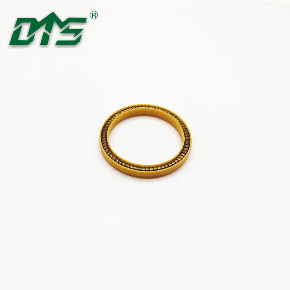 UPE/PCTFE/PTFE Seal Spring Energized Seal