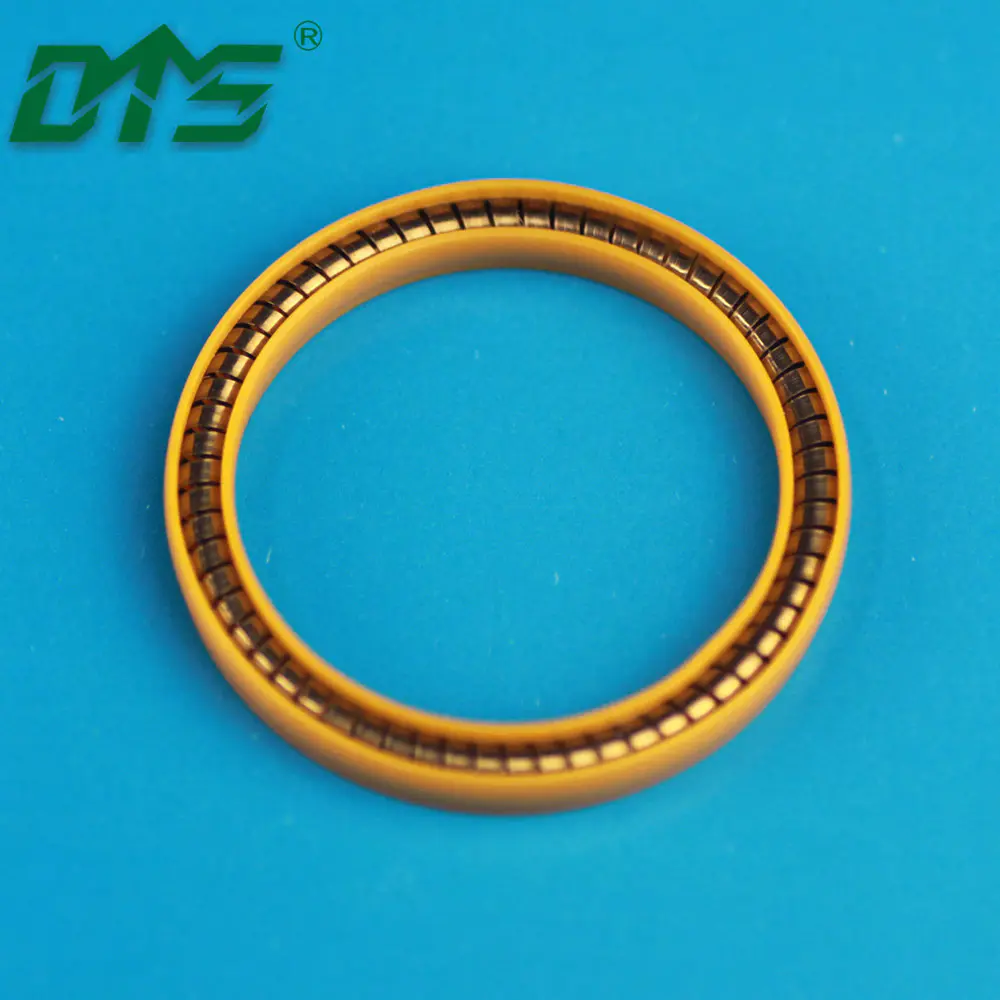 UPE and PCTFE Low Temperature Resistant LNG System JointsSpring Seals and Back Up Rings