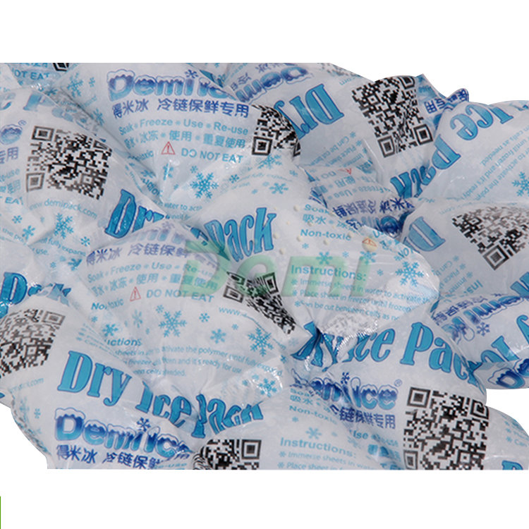 2019 New Design Dry Ice Gel Pack for Fresh Food Delivery
