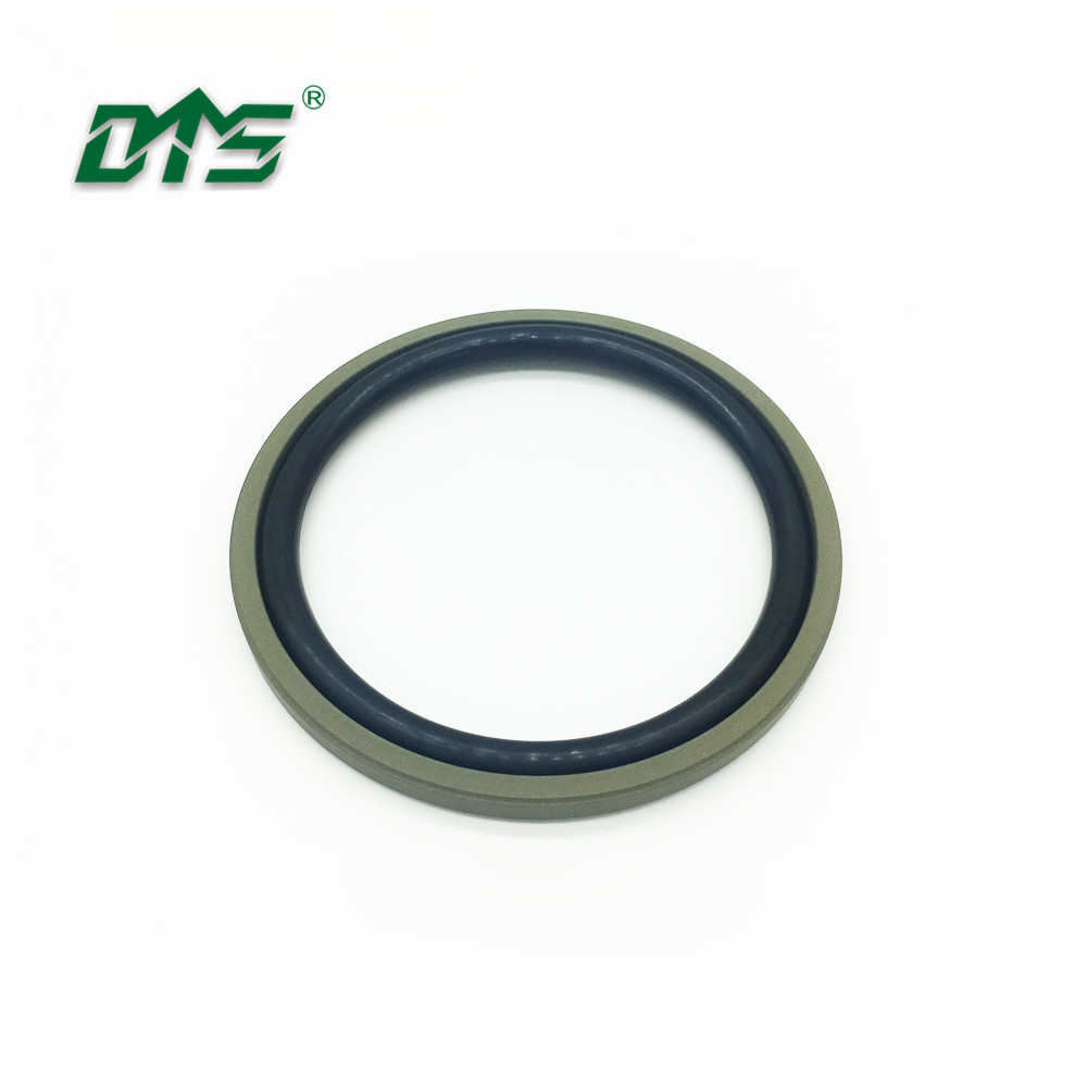 Mechanical System Gearboxes Anti Leakage Carbon Filled PTFE Labyrinth Seals  with FKM O Rings - China Rubber Seal, Centrifugal Compressor |  Made-in-China.com