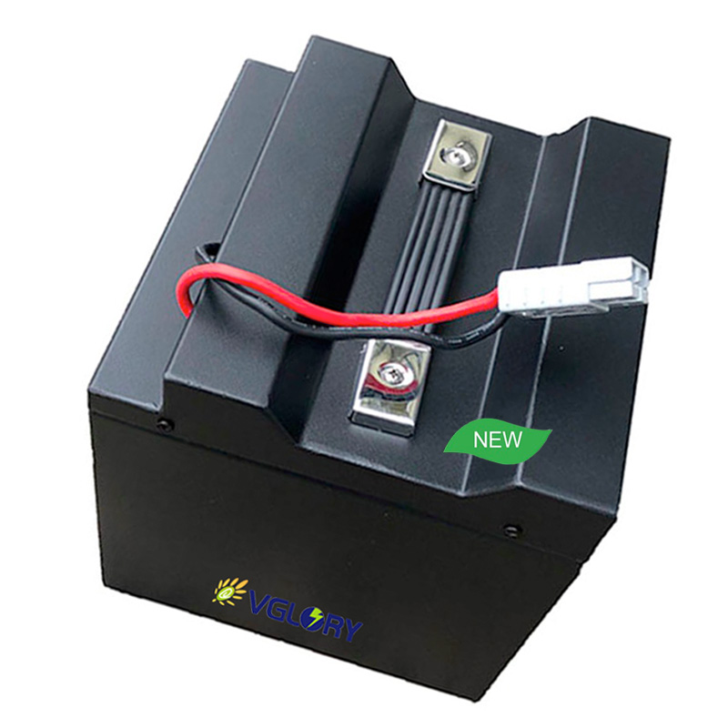 Intelligent charge system lithium ion car battery