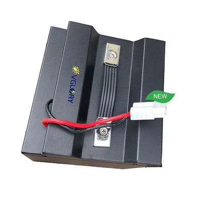 Much Lower average price per year 48v lithium ion battery with charger