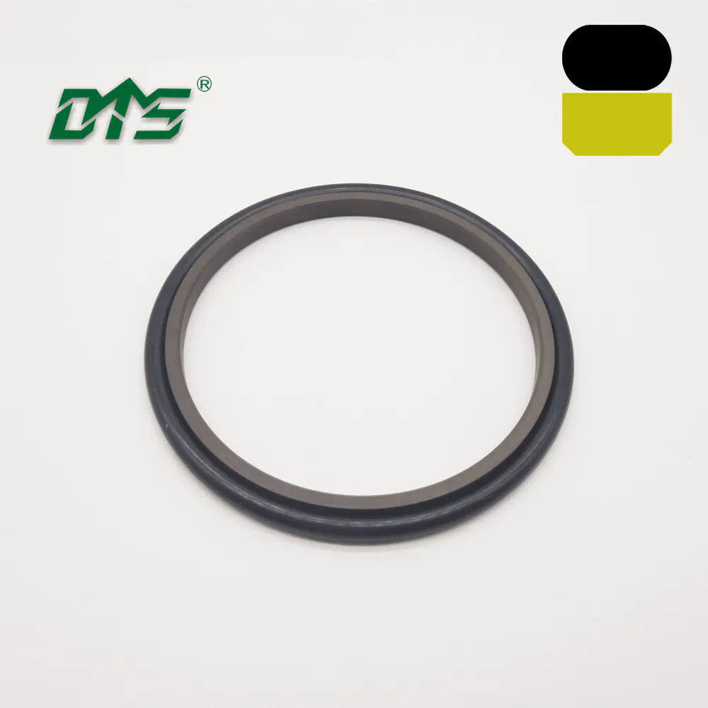 shaft seal retaining hydraulic rod ring glyd ring GSI