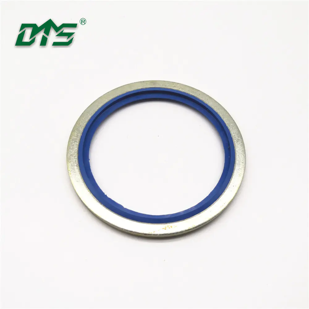 Leakproof Bonded Sealing Washers Stainless Steel Bonded Dowty Seal Kit