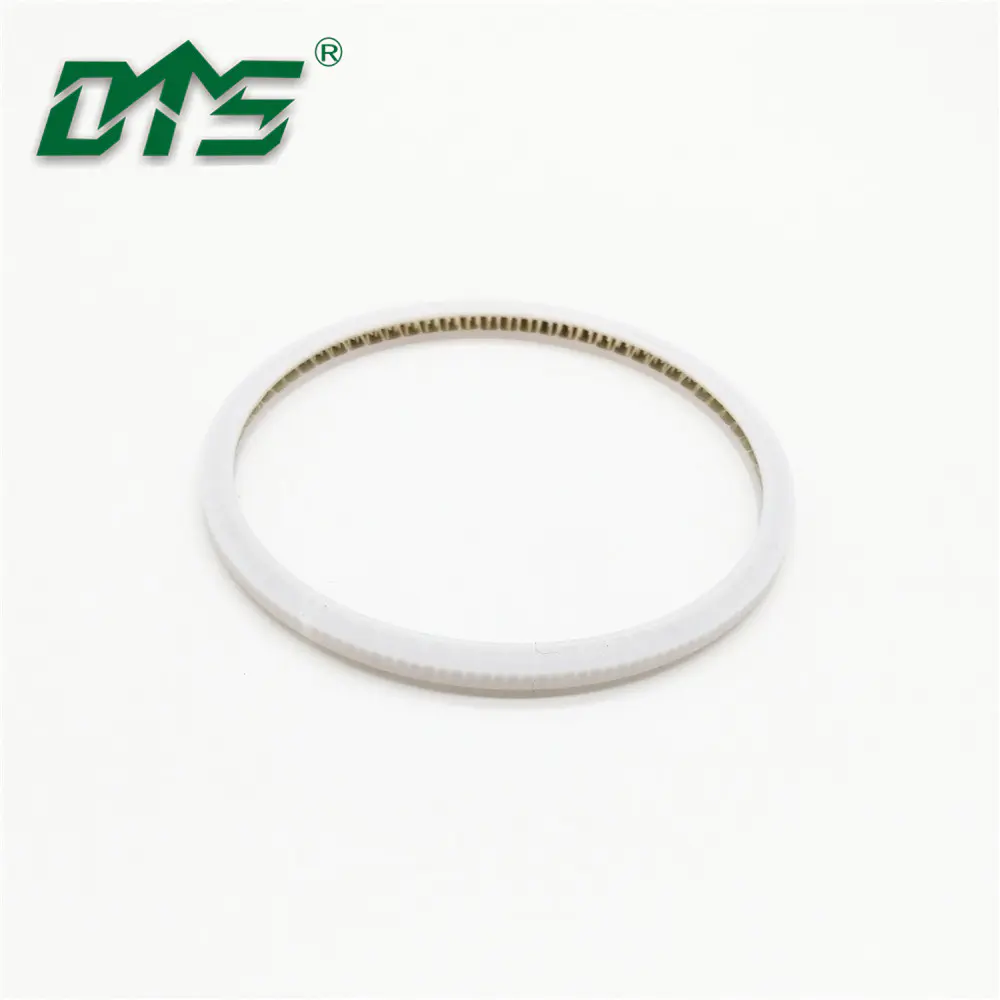 Internal face spring energized seal with PTFE material