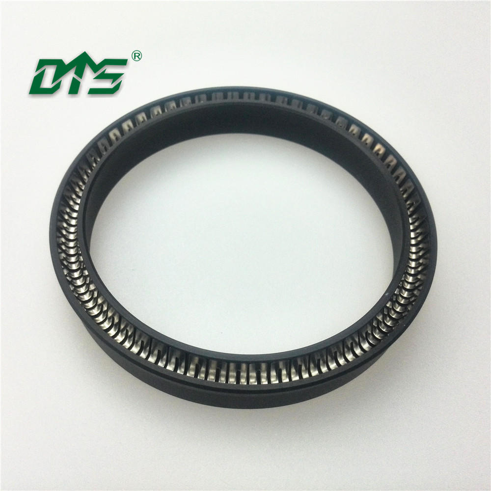 Chinese manufacturer variseal ptfe spring energized oil double lip seal