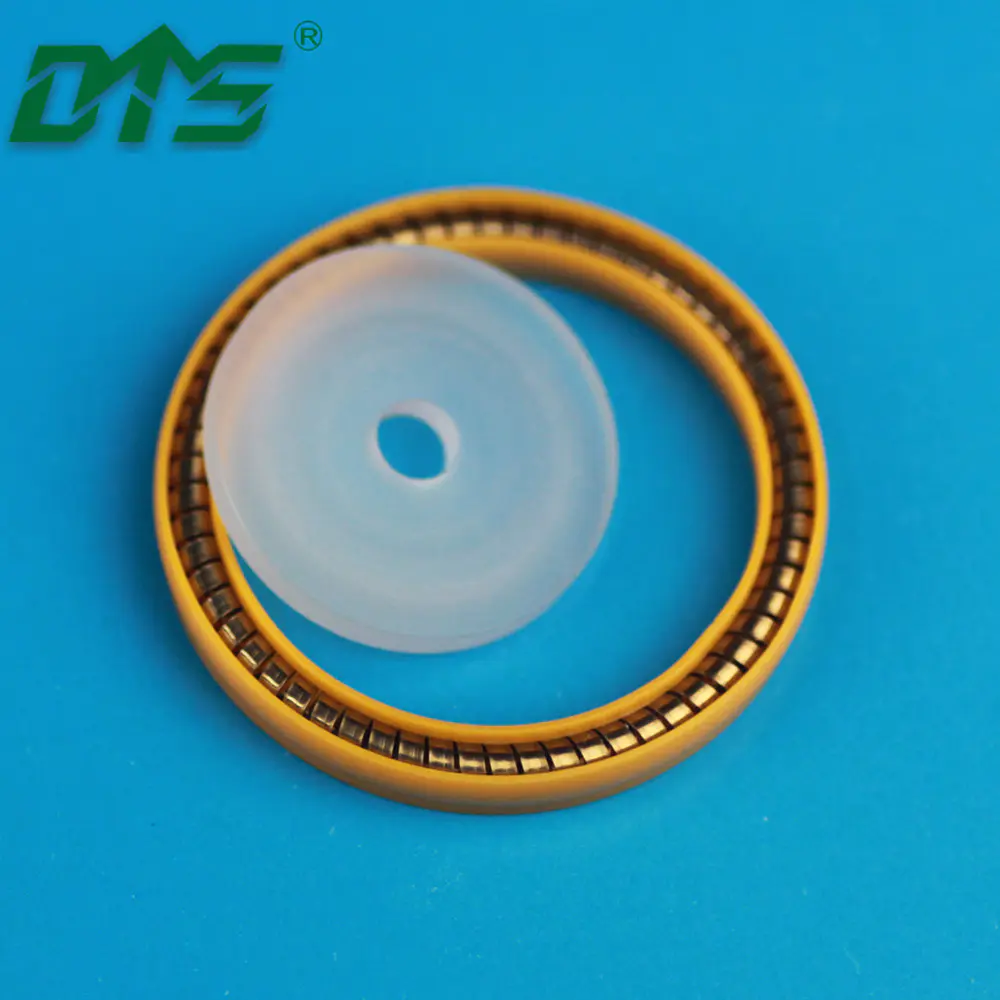 UPE and PCTFE Low Temperature Resistant LNG System JointsSpring Seals and Back Up Rings