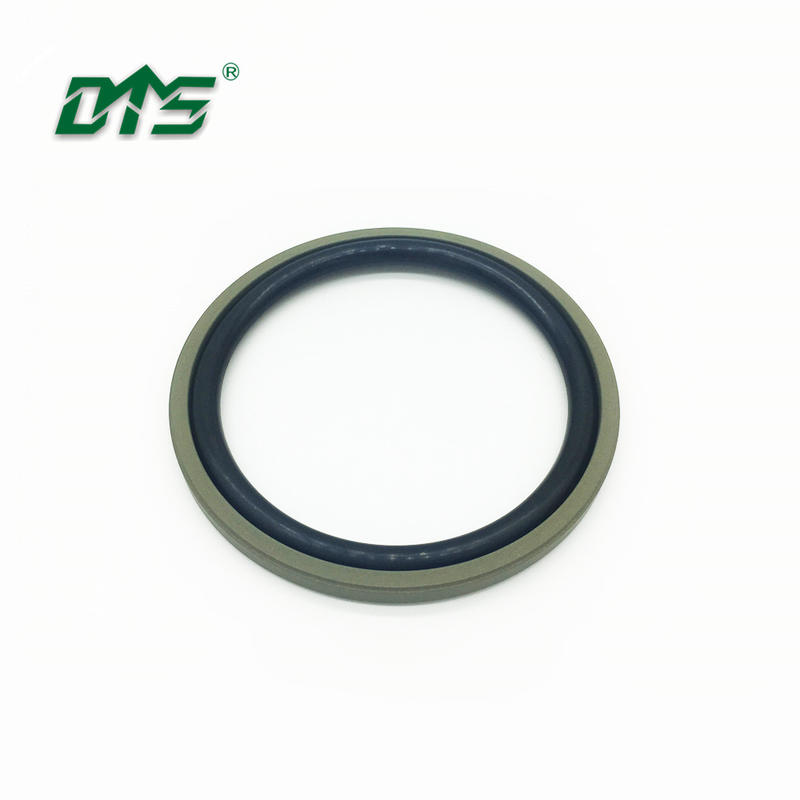 MOS2 filled PTFE hydraulic piston seal glyd ring DPT