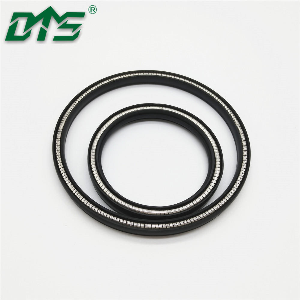 hydraulic Spring loaded Energized PTFE Seal rotary shaft seal/V type