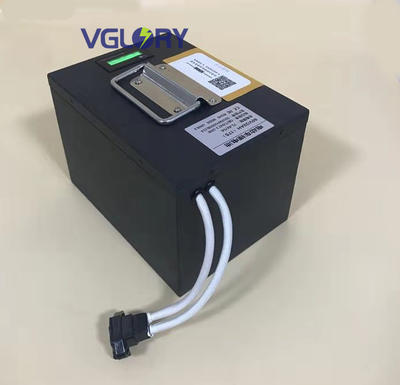 Professional custom Safe performance lithium battery for scooter 48v 24ah