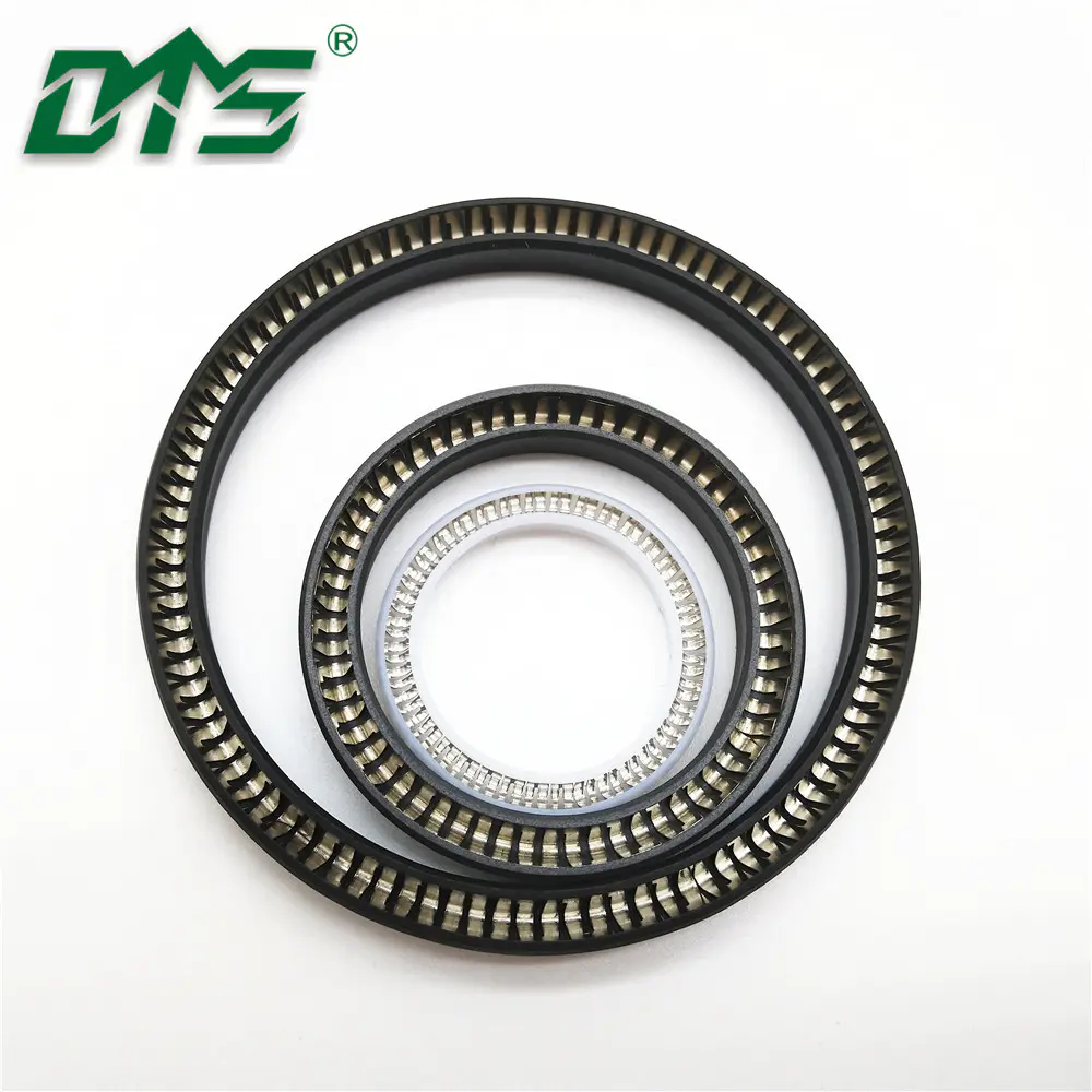 spring energized ptfe lip seals rotary shaft seal/Variseal