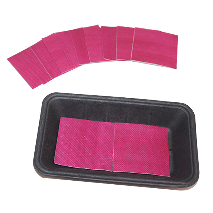 Eco-Friendly Material Biodegradable Water Absorbent Food Pad