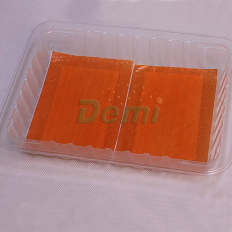 Fresh Food Tray Packaging Absorbent Meat Pads