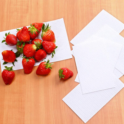 Moisture Vegetables Food Absorbent Pad Food Tray Pad For Fruit