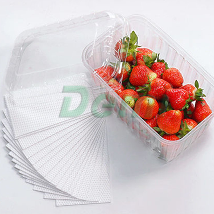 Food Tray Packaging Vegetables Fruit Absorbent Pad