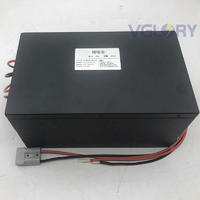 ShenZhen Factory Accepted Custom voltage 48v 100ah lithium iron phosphate battery 24v 45ah