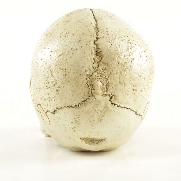 Polyresin CustomHollow Human Head Mold Handicrafts Skeleton Resin Halloween Heads