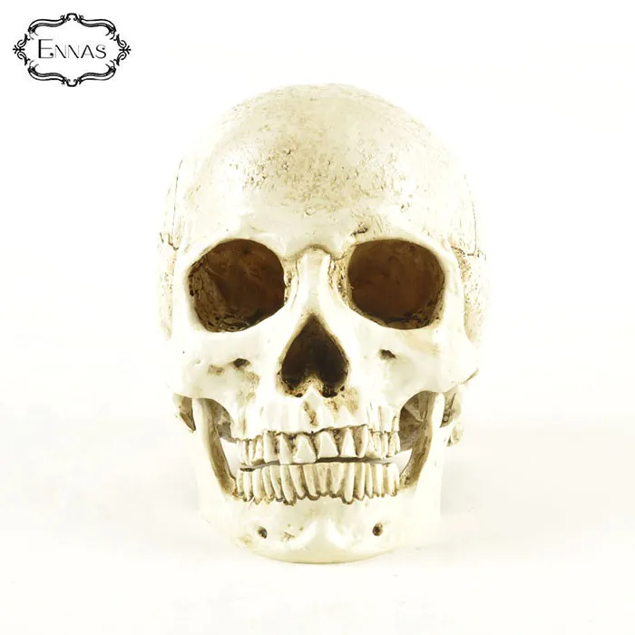 High Quality Hand Carved Polyresin Halloween Human Skeleton Ghost Head for Sale