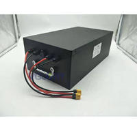 Intelligent charge system 48v 12ah lithium battery