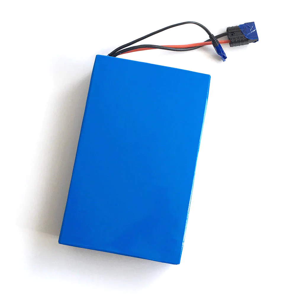 ShenZhen Factory OEM Accepted Custom size 48 v lithium ion battery 9ah