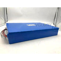Factory lower price Light weight lithium ion battery 48v 16ah