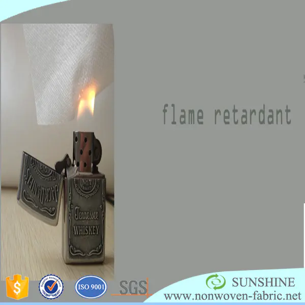 Jinjiang PP Nonwoven Raw Material Factory for Flame Retardant PP Non-woven Fabric