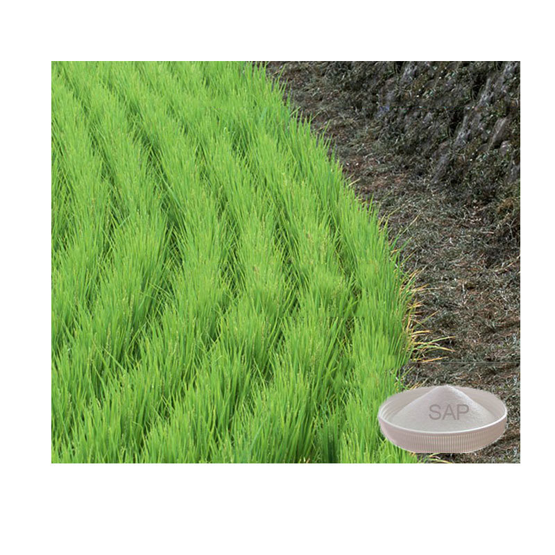 Grade Biodegradable Super Water Absorbent Polymer for Agriculture with Factory Price