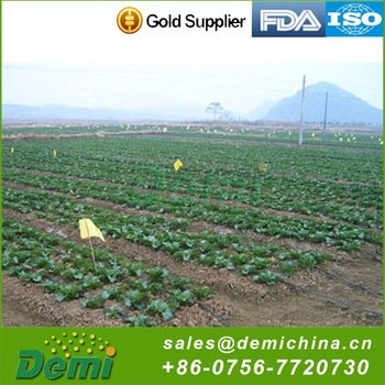 Oem Accepted Hot Selling Sap Agriculture Polymer For Agriculture