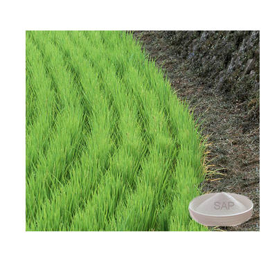 Safety Worth Buying Super Absorbent Polymer Sodium Polyacrylate Sap for Agriculture Use