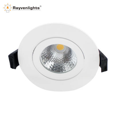 NEW HIGH Lumen HOT SALE 10W LED COB Down Light With CE/SAA approve